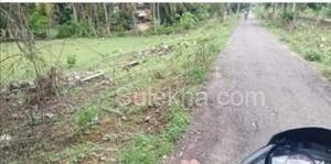 108 Cent Plots & Land for Resale in PALAKKAD
