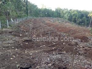 2.20 Acres Plots & Land for Resale in Vadakkencherry