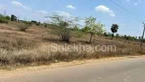43560 sqft Plots & Land for Sale in Kancheepuram