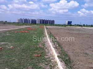 1440 sqft Plots & Land for Sale in Sector 151