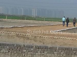 1350 sqft Plots & Land for Sale in Sector 151