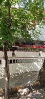 3 BHK Residential Apartment for Lease in Koramangala